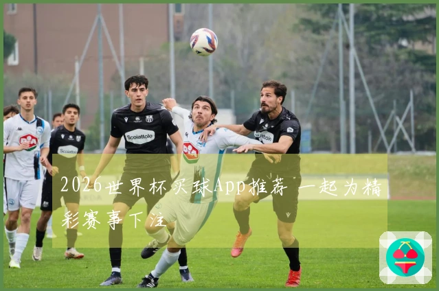 2026世界杯买球App推荐 一起为精彩赛事下注