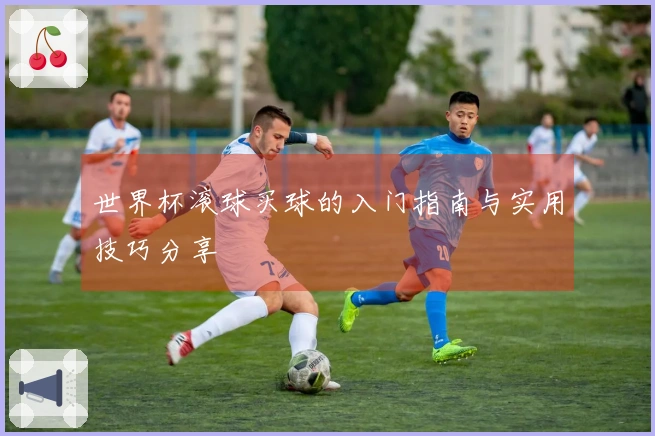 世界杯滚球买球的入门指南与实用技巧分享