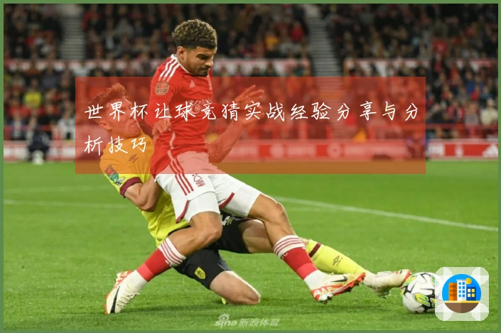 世界杯让球竞猜实战经验分享与分析技巧